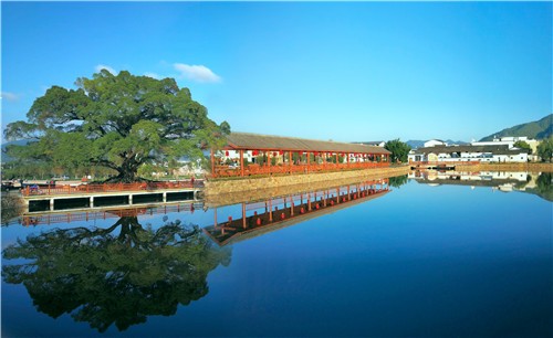 1656414222630119.jpg 龙南-正桂美丽乡村.jpg