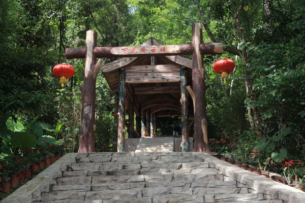 琼中百花岭2.JPG 琼中百花岭2.JPG