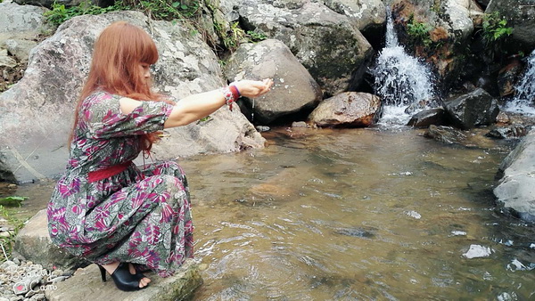 琼中百花岭4-.jpg 琼中百花岭4-.jpg