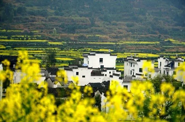 赏花地图3.jpg 赏花地图3.jpg