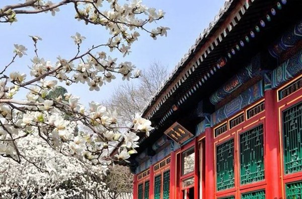 赏花地图6.jpg 赏花地图6.jpg