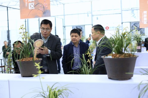 微信图片_20190411222601_副本.jpg 微信图片_20190411222601_副本.jpg