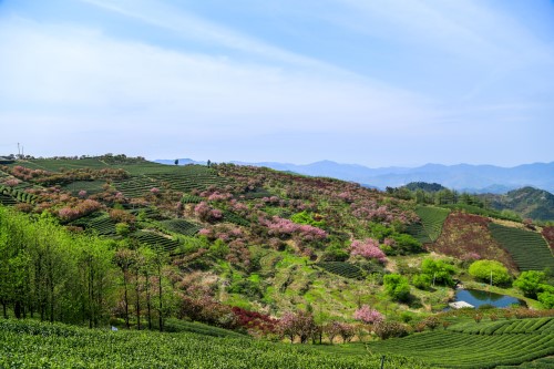 微信图片_20190415152445_副本.jpg 微信图片_20190415152445_副本.jpg