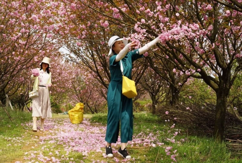 微信图片_20190415152524_副本.jpg 微信图片_20190415152524_副本.jpg