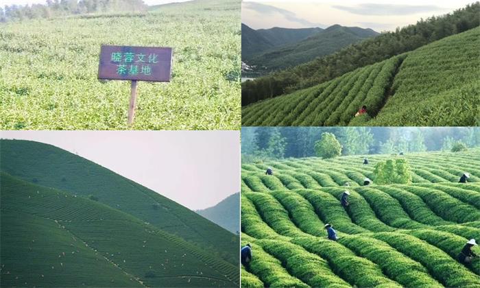 微信图片_20190523165501_看图王.jpg