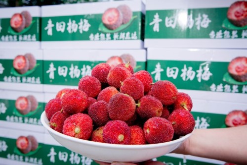 微信图片_20190619003201_副本.jpg 微信图片_20190619003201_副本.jpg