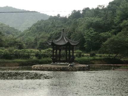 整治后的白茅村莲花塘.png 整治后的白茅村莲花塘.png