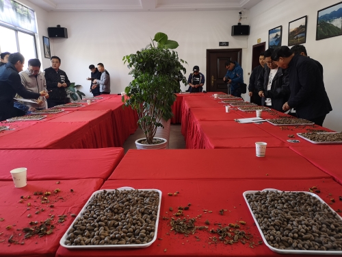 微信图片_20191119202108_副本.jpg 微信图片_20191119202108_副本.jpg