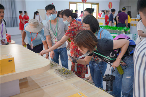 微信图片_20200616201904.jpg 微信图片_20200616201904.jpg