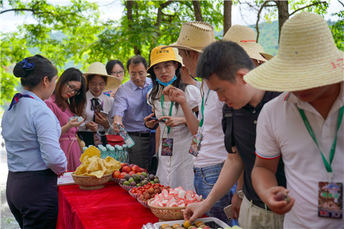 微信图片_20200616201837.jpg 微信图片_20200616201837.jpg