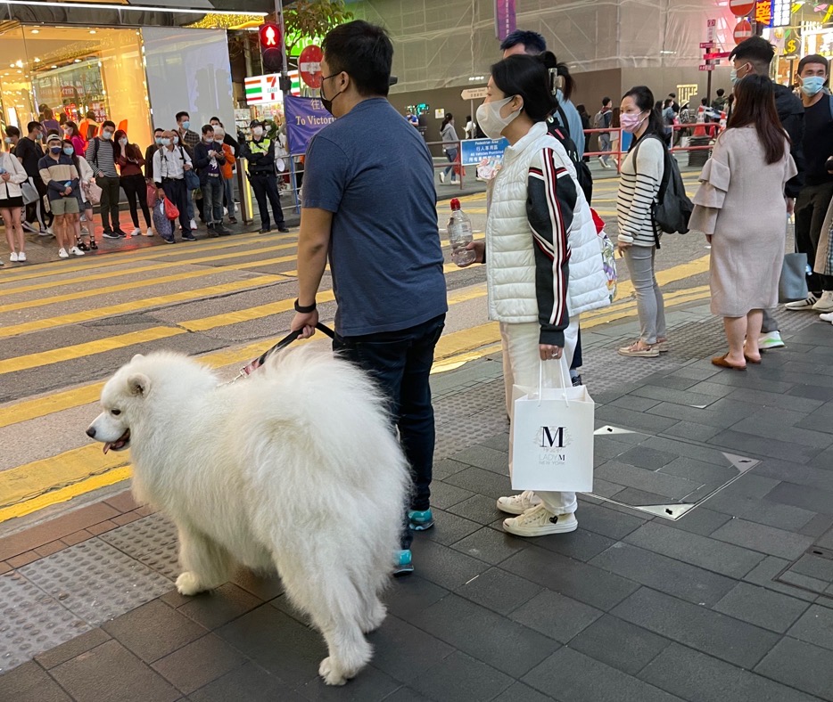 WeChat 圖片_20210207191734.jpg WeChat 圖片_20210207191734.jpg
