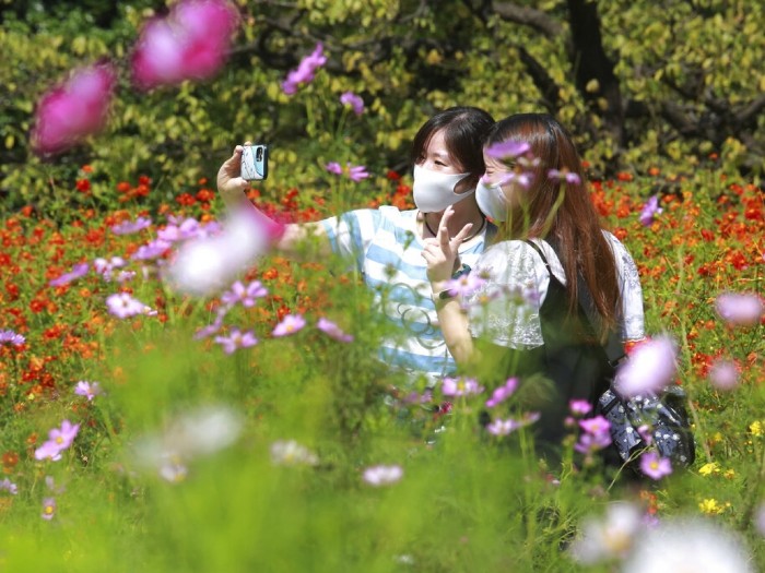 在東京一個庭園,民眾戴口罩防疫。(美聯社).jpg 在東京一個庭園,民眾戴口罩防疫。(美聯社).jpg