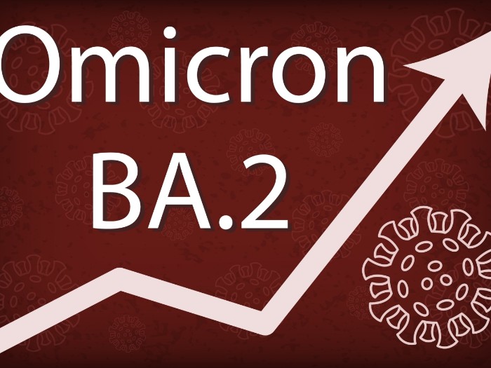 研究發現,Omicron的BA.2亞型,較原本的BA.1版本,傳播力更高。(Shutterstock).jpg 研究發現,Omicron的BA.2亞型,較原本的BA.1版本,傳播力更高。(Shutterstock).jpg
