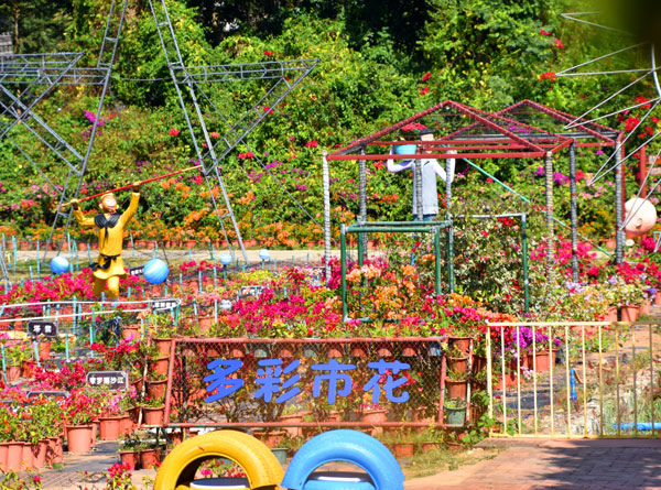 06多彩市花.jpg 06多彩市花.jpg