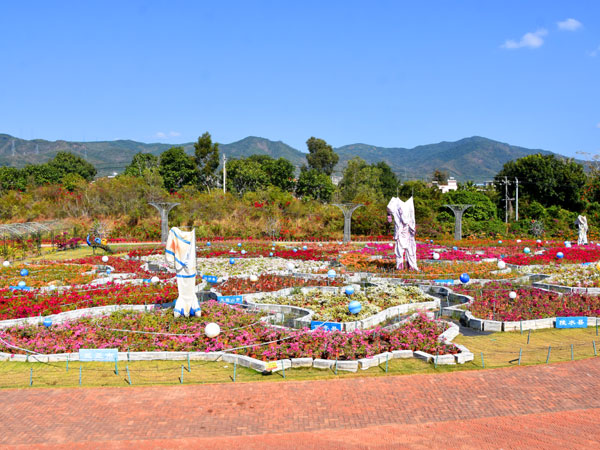 08花卉地图.jpg 08花卉地图.jpg
