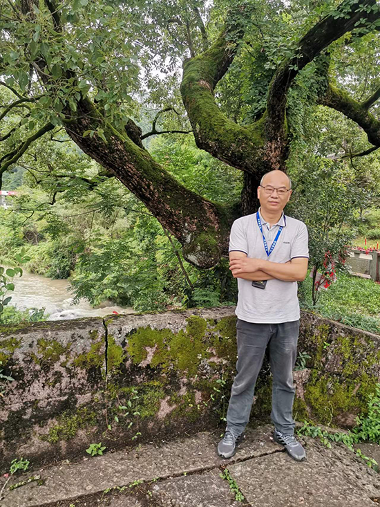 梅亭 在浙江武义延福寺镇澜桥.png