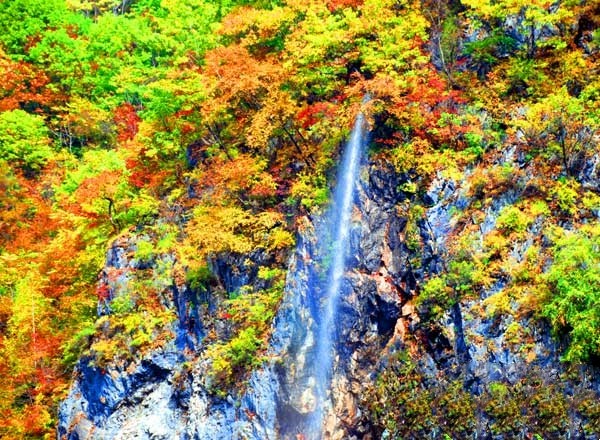 032金银溪景色.jpg 032金银溪景色.jpg