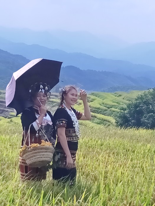 牙胡梯田12-李卫良摄.jpg 牙胡梯田12-李卫良摄.jpg