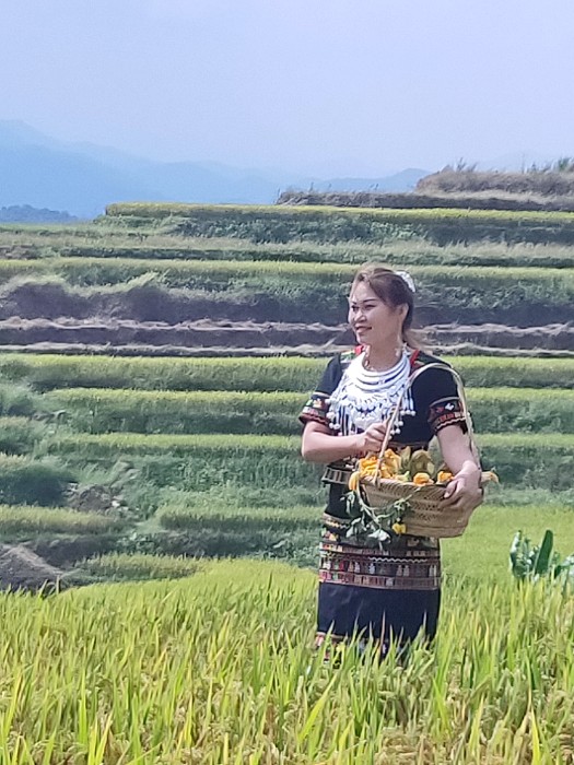 牙胡梯田16-李卫良摄.jpg 牙胡梯田16-李卫良摄.jpg