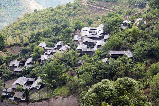 蒲门茶叶团结丫口茶叶基地,摄影许文舟 (1).jpg 蒲门茶叶团结丫口茶叶基地,摄影许文舟 (1).jpg