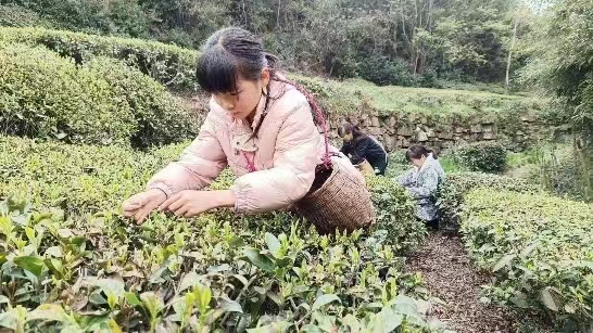 9f34e533f91d74cd27e82caeab26a9e.jpg 9f34e533f91d74cd27e82caeab26a9e.jpg