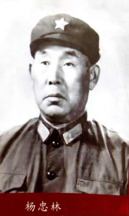 杨忠林.jpg 杨忠林.jpg