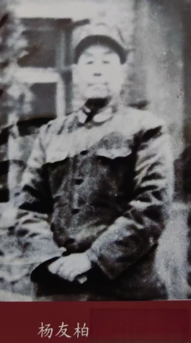 杨友柏.jpg 杨友柏.jpg