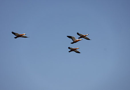 2504084.jpg 2504084.jpg
