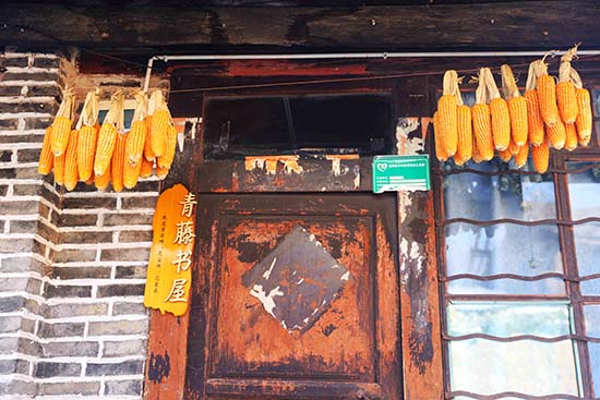 从霁虹桥到水寨(许文舟摄影) (12).jpg