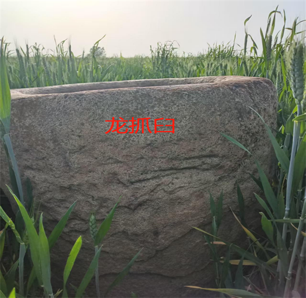 图片3.png 图片3.png