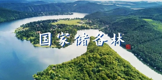 杜仲国家储备林1.jpg 杜仲国家储备林1.jpg