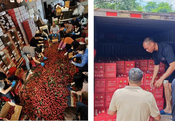 QQ截图20250716171215.jpg