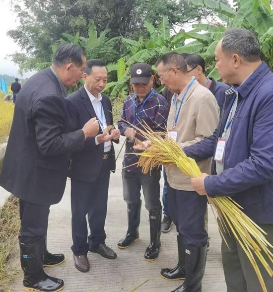 邓泗洲三阶段论4.jpg 邓泗洲三阶段论4.jpg