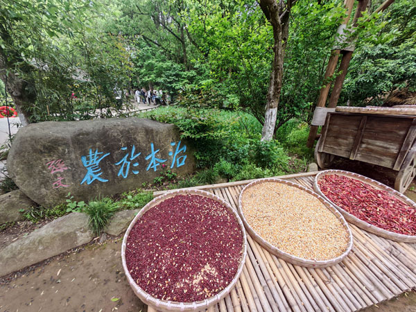 018茶村内一角.jpg 018茶村内一角.jpg
