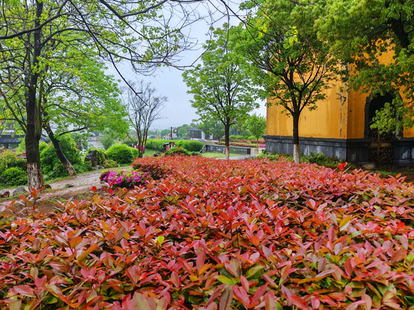 012龙池山脚下一角.jpg 012龙池山脚下一角.jpg