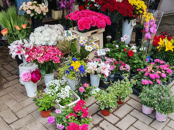 031鲜花市场.jpg 031鲜花市场.jpg