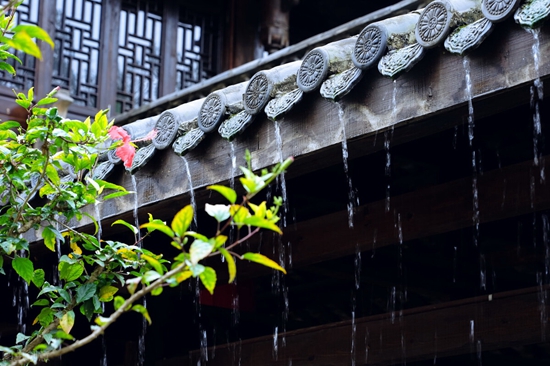 雨•雨滴屋檐5.jpg 雨•雨滴屋檐5.jpg