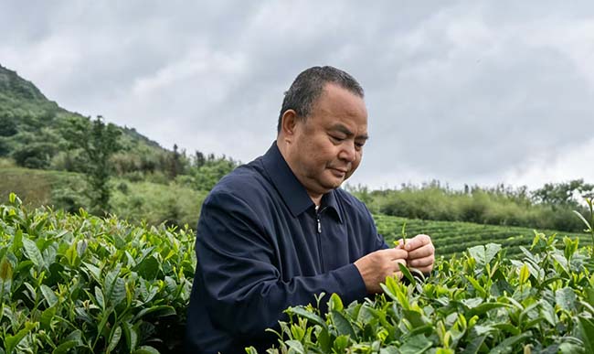 微信图片_2026-07-16_132511_386.jpg 微信图片_2026-07-16_132511_386.jpg