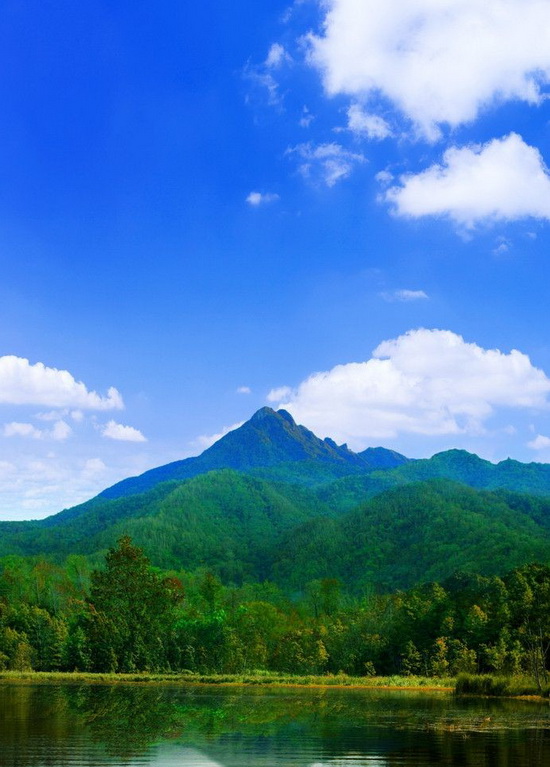五指山9.jpeg 五指山9.jpeg