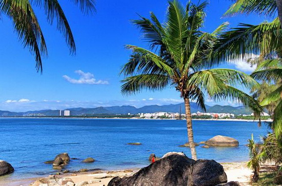 海•椰风海韵•椰风送爽•椰风曼舞•椰影摇枝•椰树焕华5.jpeg 海•椰风海韵•椰风送爽•椰风曼舞•椰影摇枝•椰树焕华5.jpeg