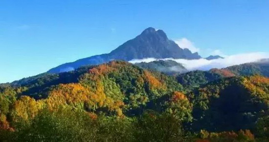 五指山7.jpeg 五指山7.jpeg