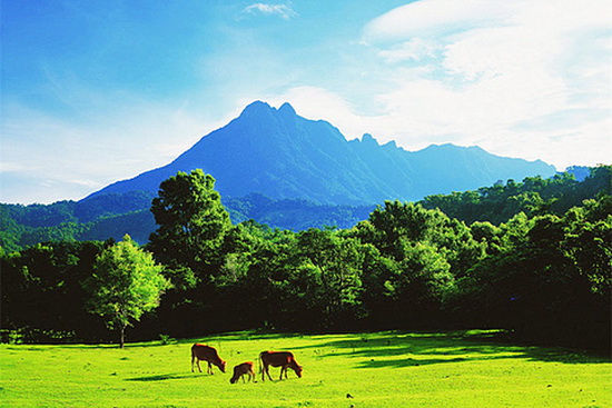 五指山6.jpeg 五指山6.jpeg